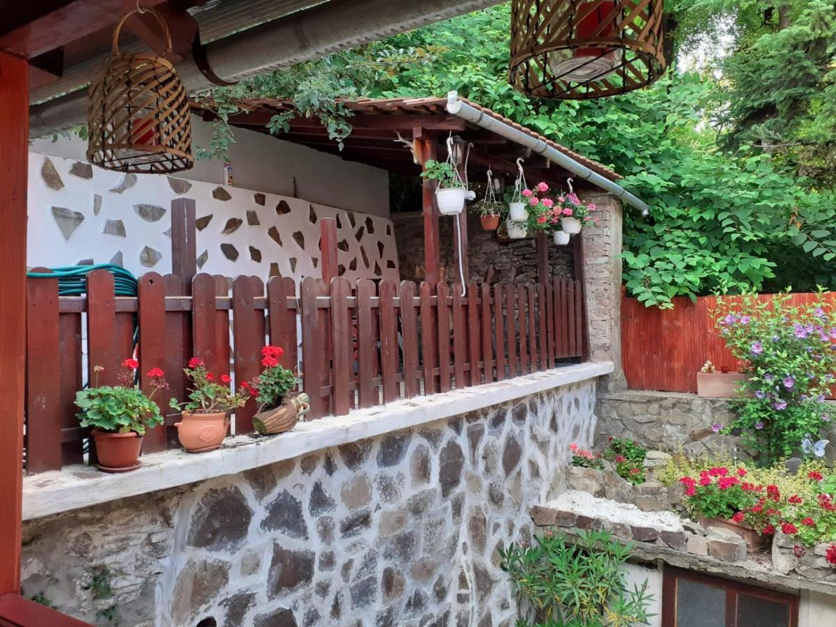 Gloria Apartments Sighişoara Exterior foto