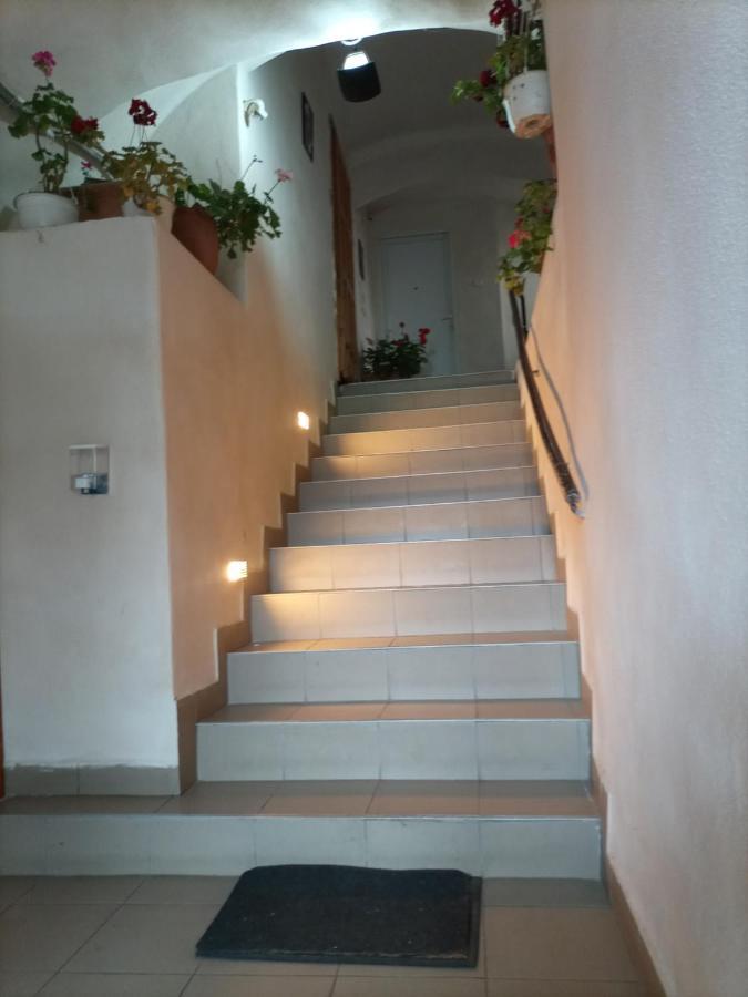Gloria Apartments Sighişoara Exterior foto